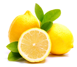 Citrus lemonum Sp