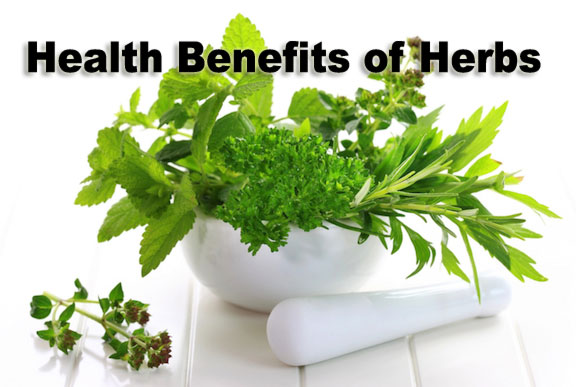 benefits-of-herbs