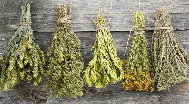 Dry-Dehydrated-Herbs-Hanging-Upside-Down-Wood-Surface