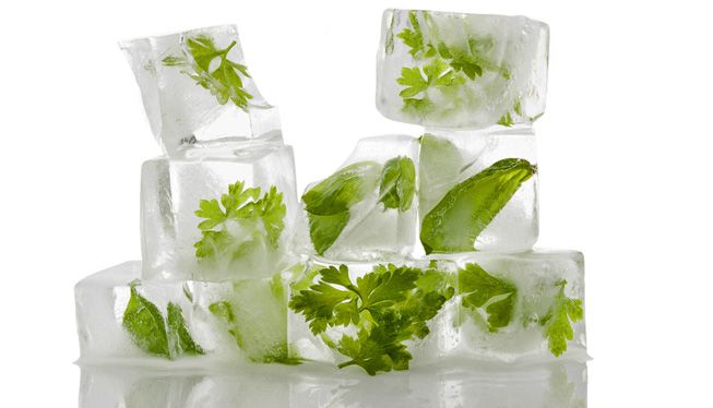 Herbs-Frozen-Ice-Cubes