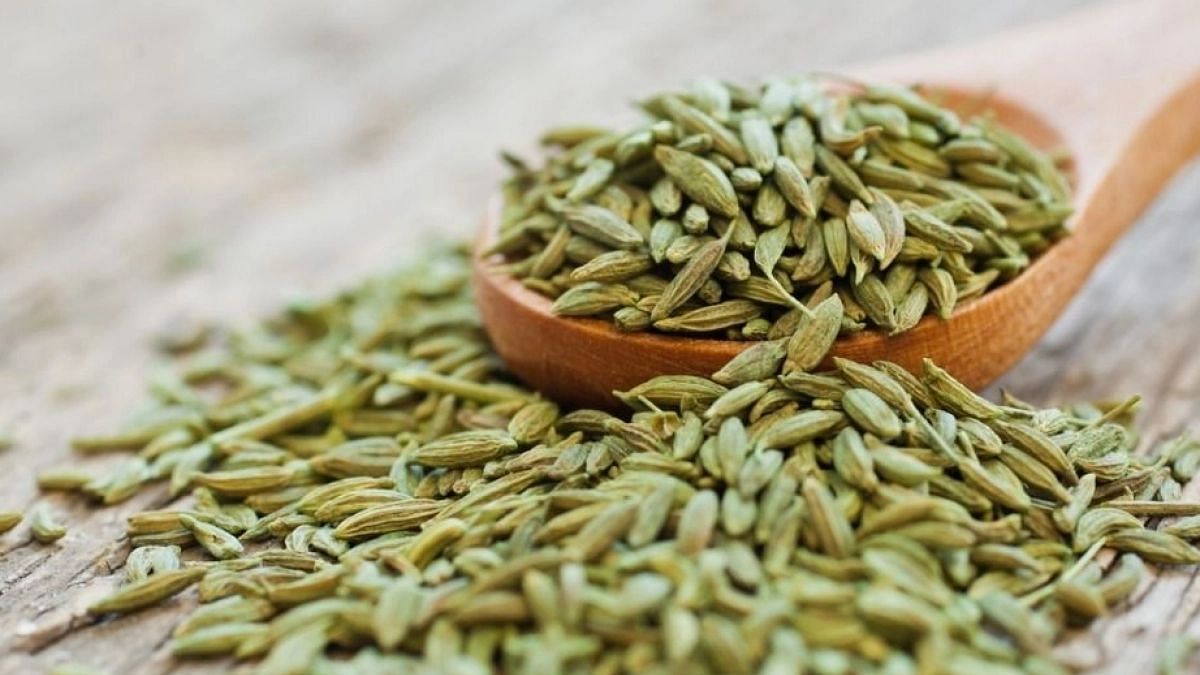 15 Impressive Benefits of Fennel